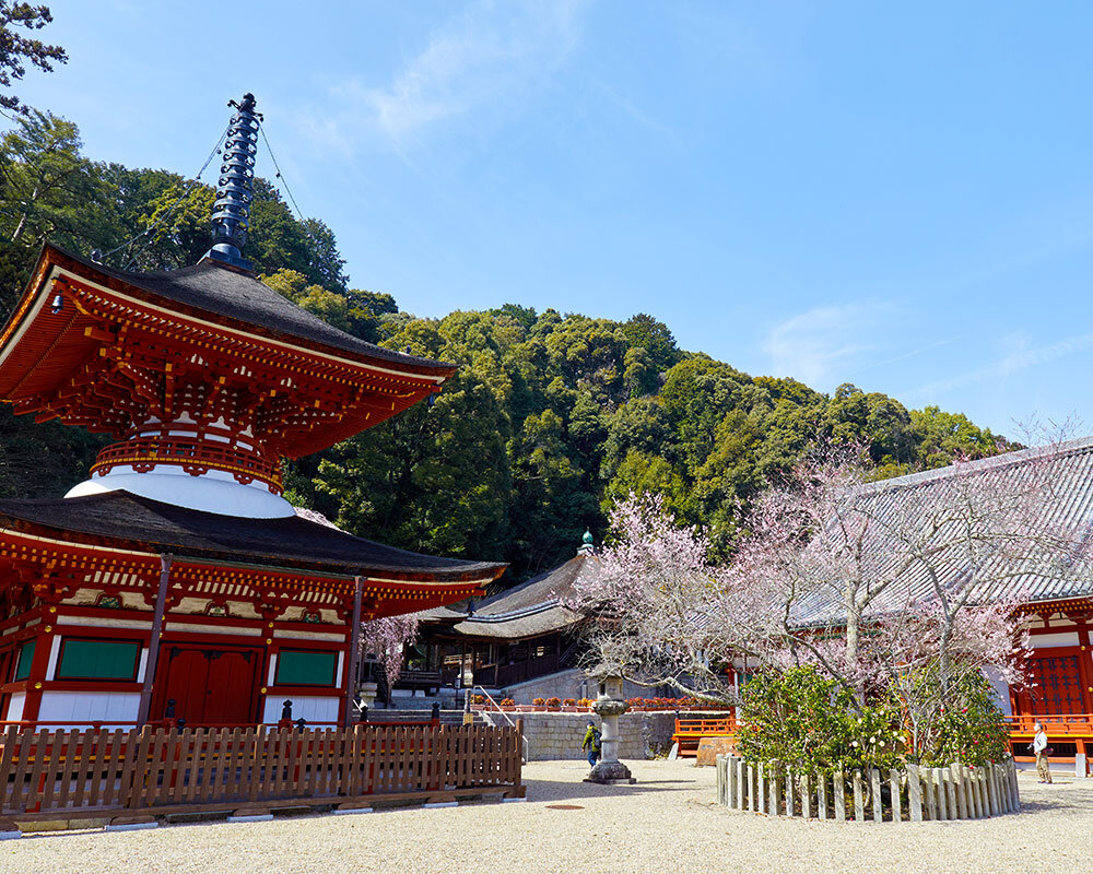 天野山 金剛寺（女人高野）