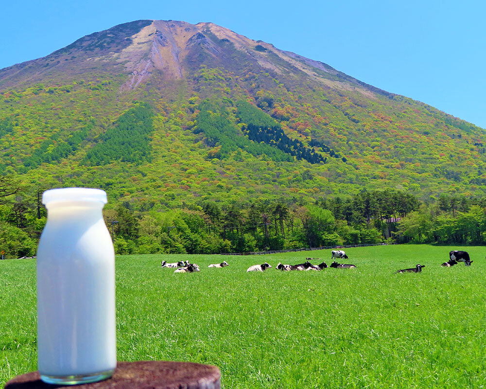 大山 みるく の 里
