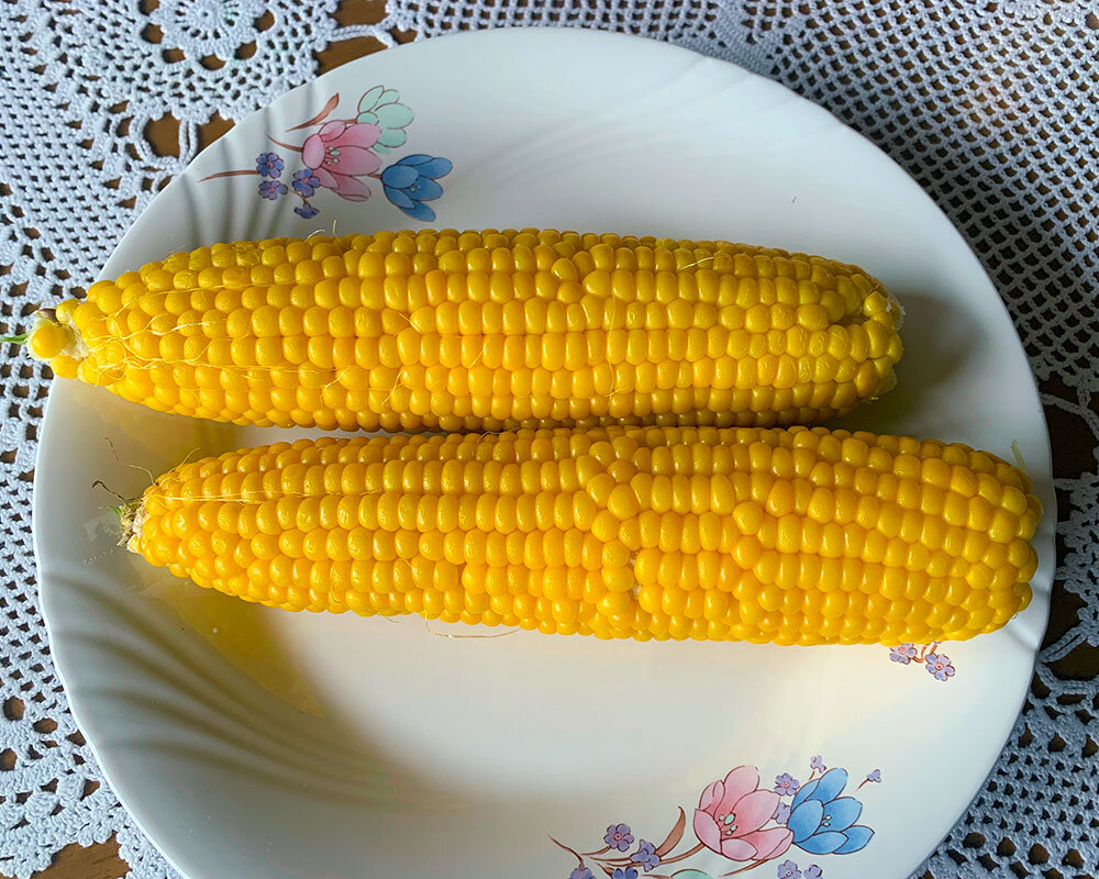 嶽きみ（とうもろこし）