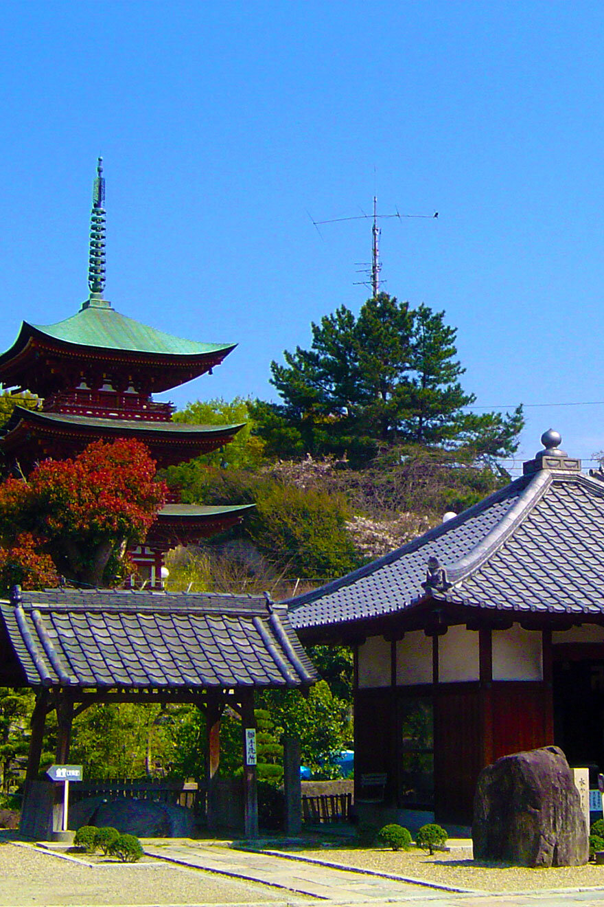 古代史博物館（泉南市埋蔵文化財センター）
