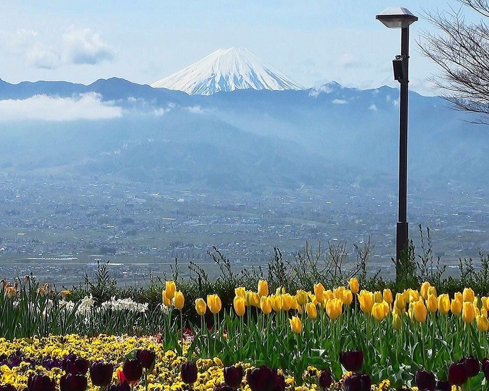 笛吹川フルーツ公園