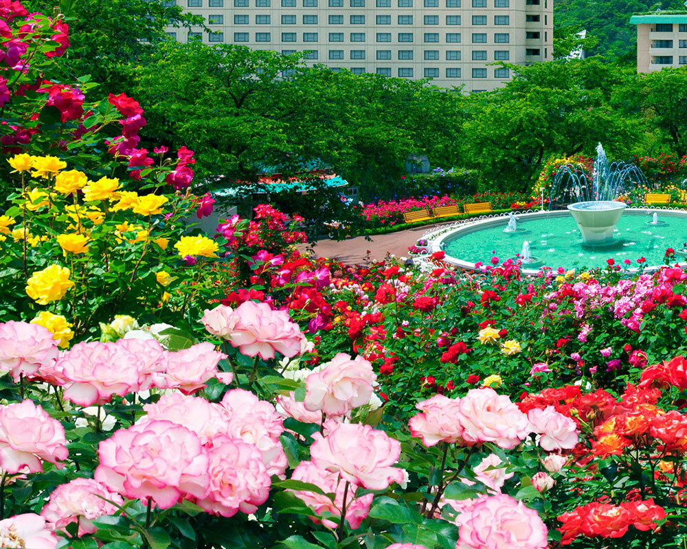 花巻 バラ 園