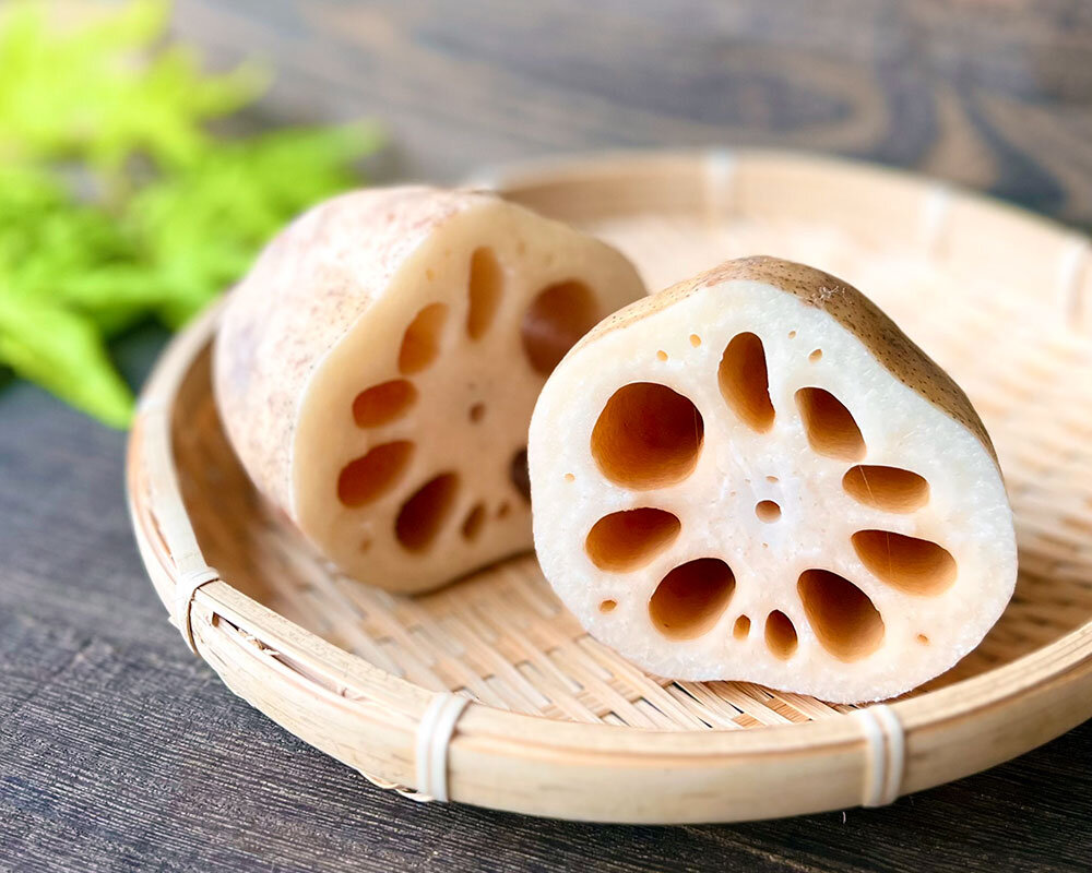 茨城県産 れんこん