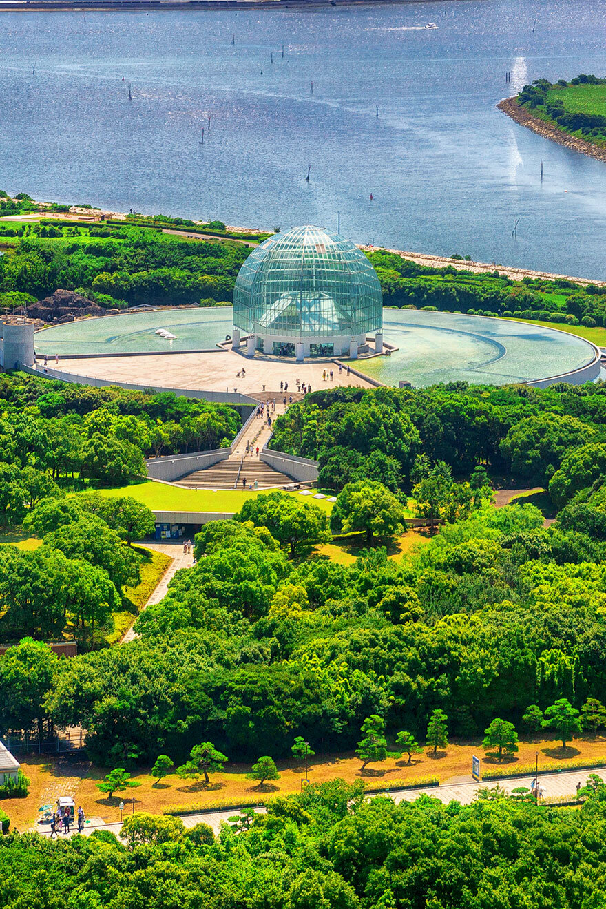 葛飾 臨海 公園