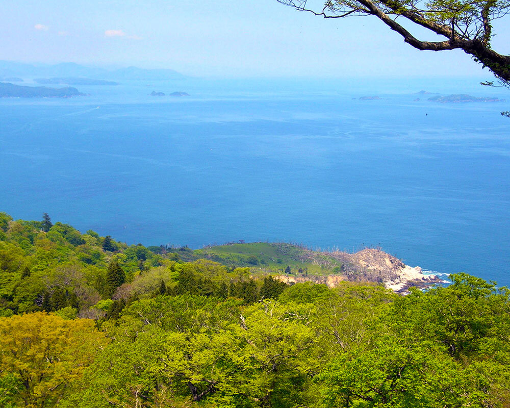 金華山 金華山（宮城県）