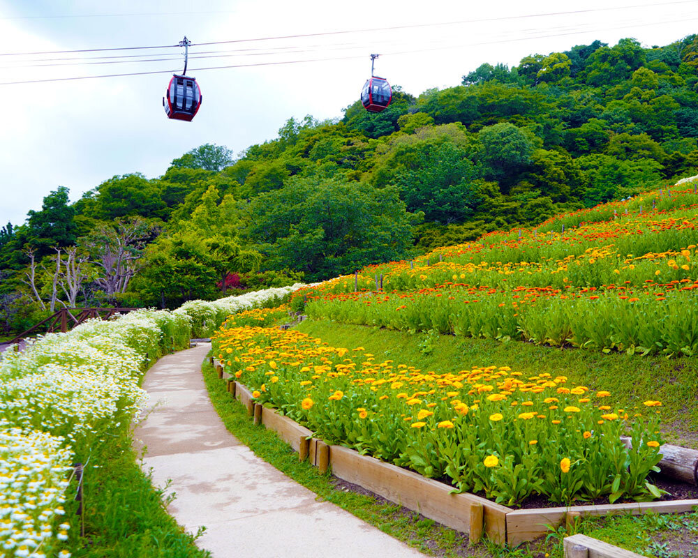 Kobe Nunobiki Herb Garden
