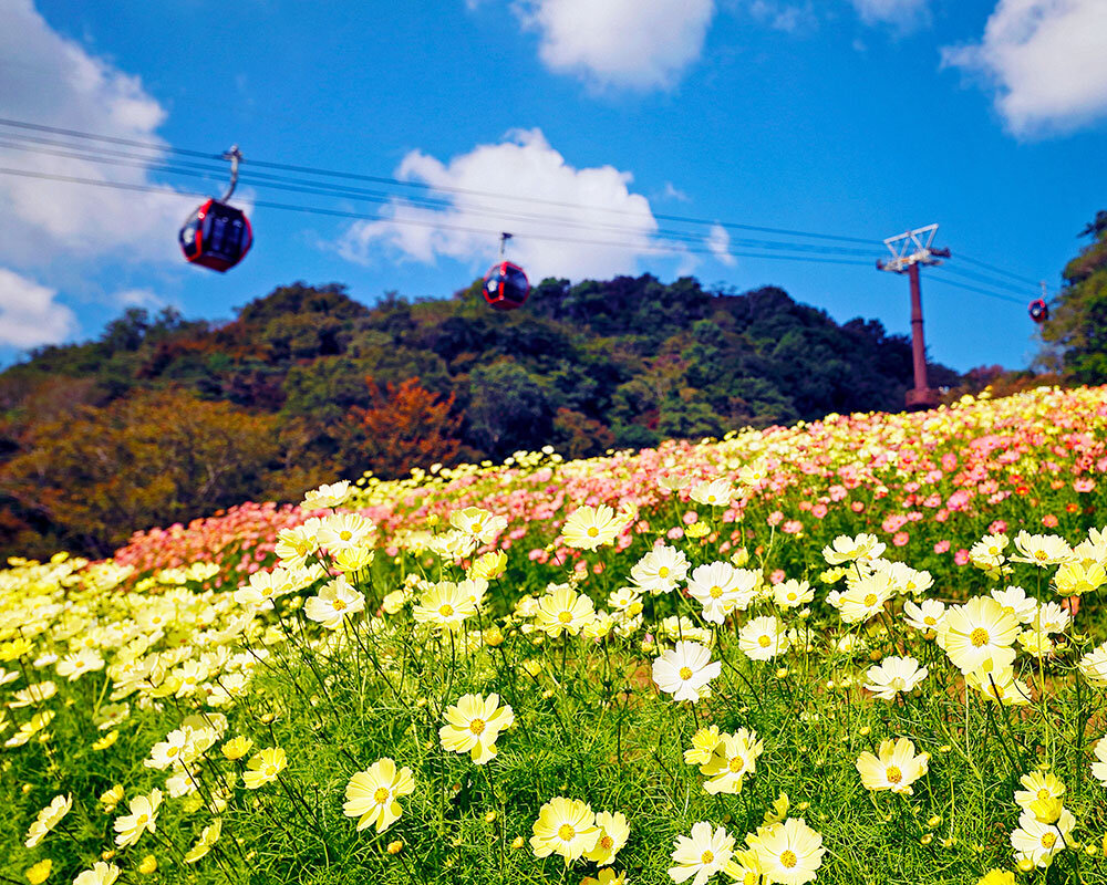 Kobe Nunobiki Herb Garden