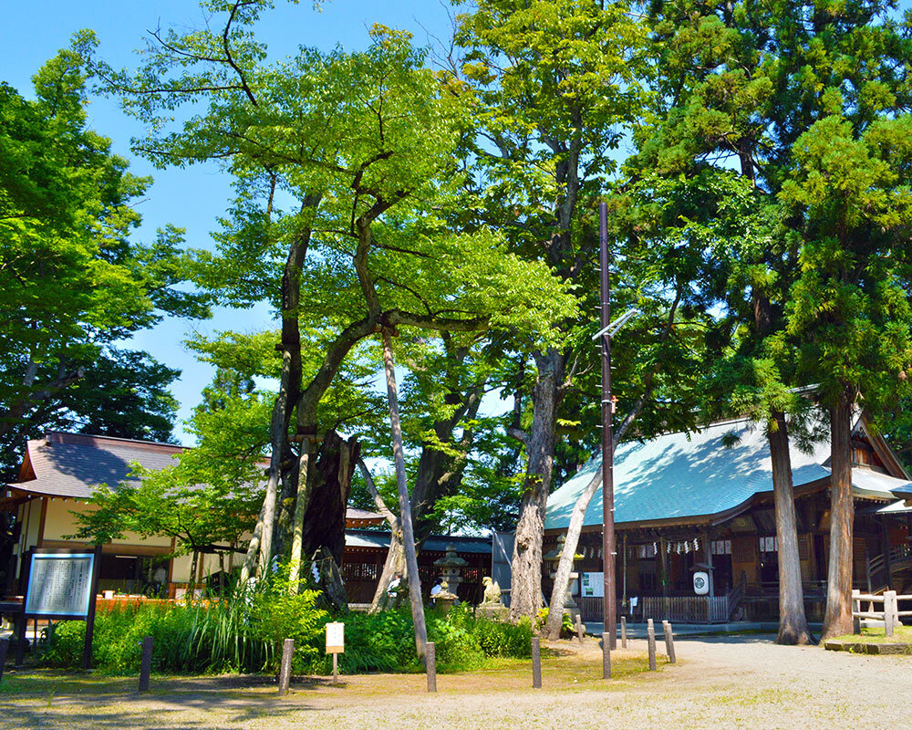 養蚕家 古い神社のお札 木箱付き 古民家 日本 神道 アンティーク 平安時代から「蚕」祀る、養蚕国神社 福島県会津若松市 [福島県]：朝日新聞