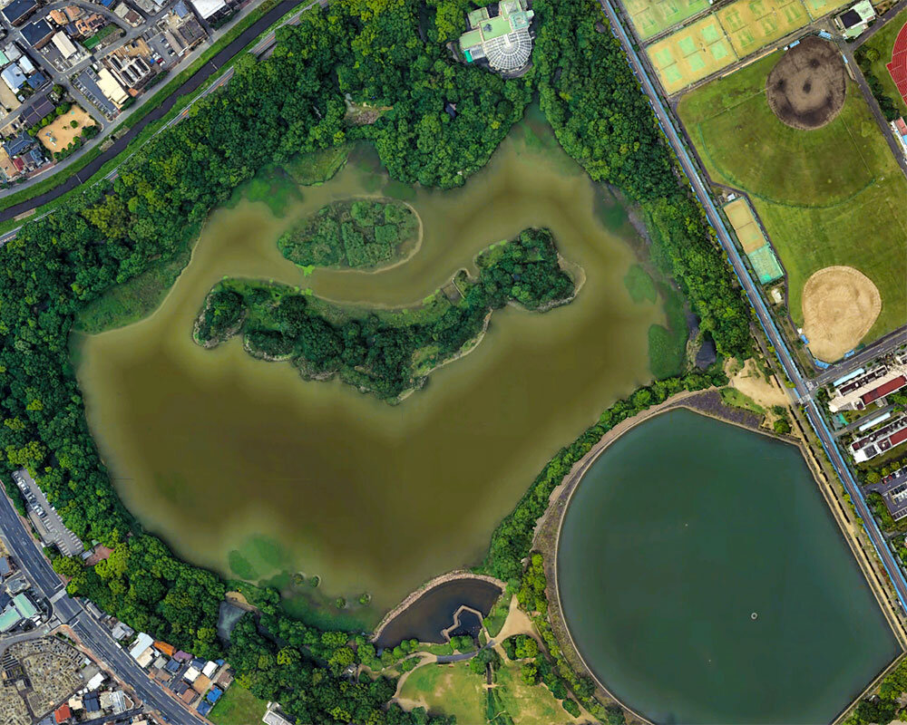 昆陽 池 公園