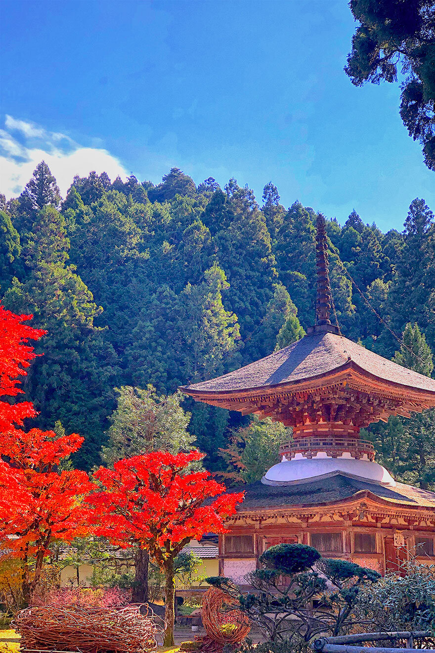 高野山・九度山 観光