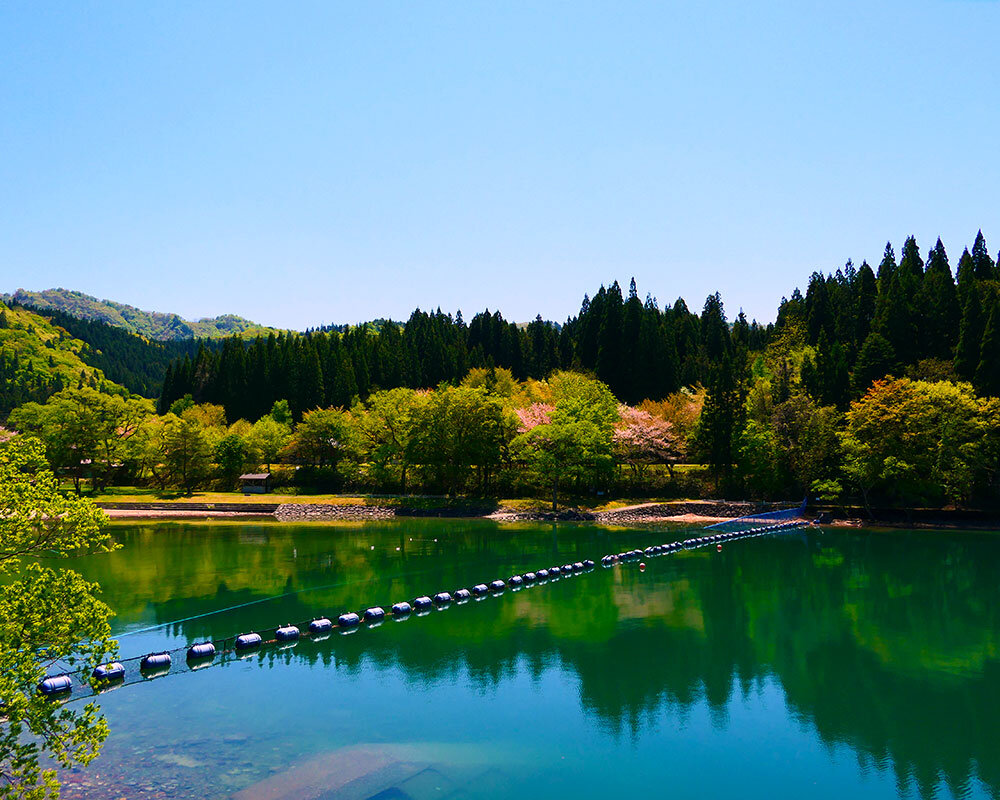 沼沢湖