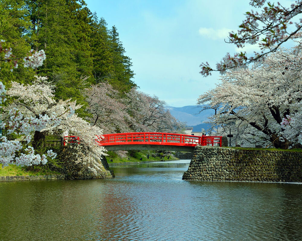 ■極希少 江戸前期■石川県能登 合鹿丸盆 合鹿地方 古根来 上部直径約32ｃｍ 米沢城址・松が岬公園