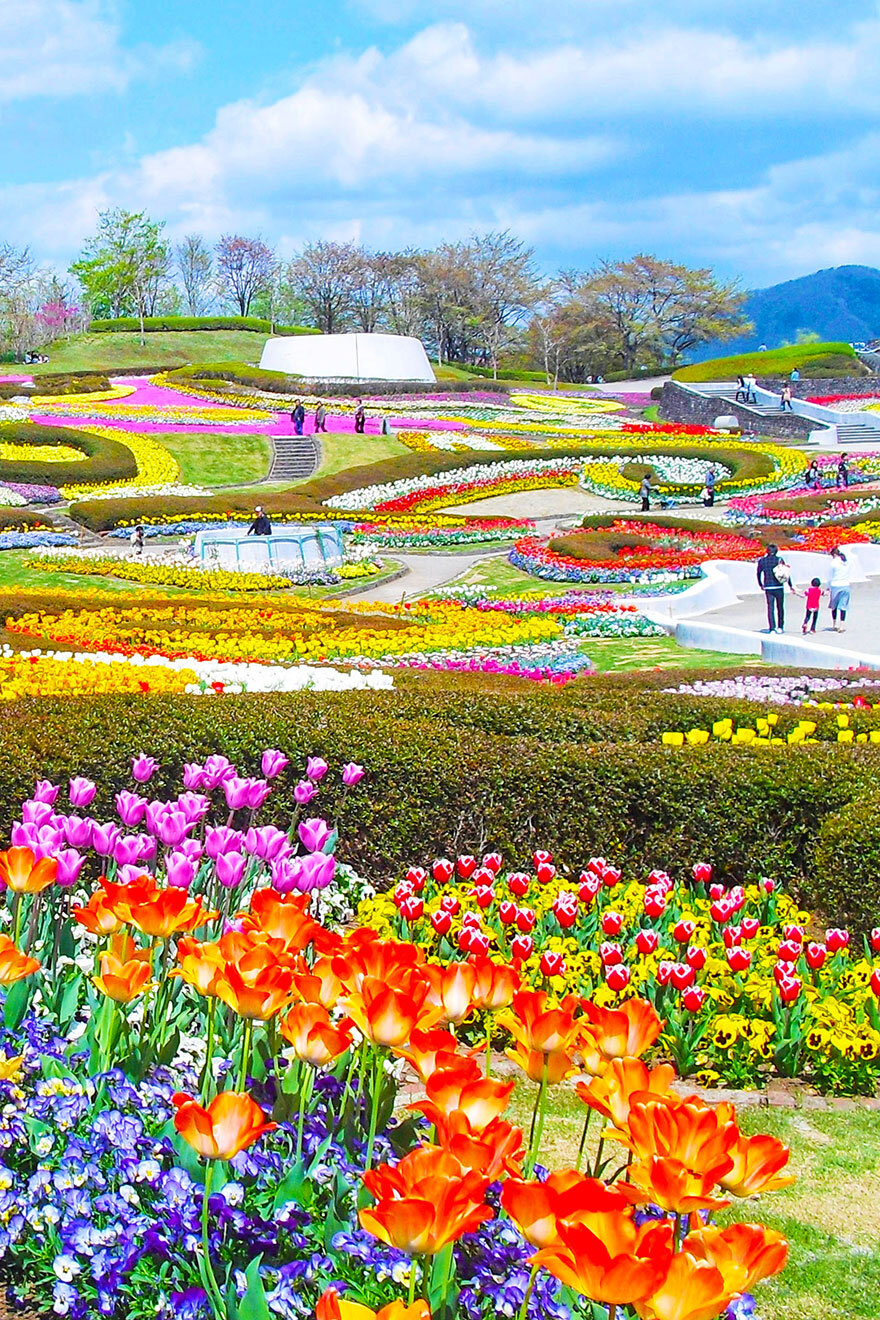 Michinoku Forest Lakeside Park