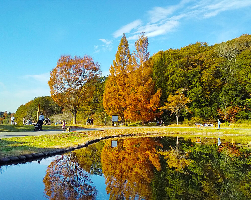 三木 山 森林 公園