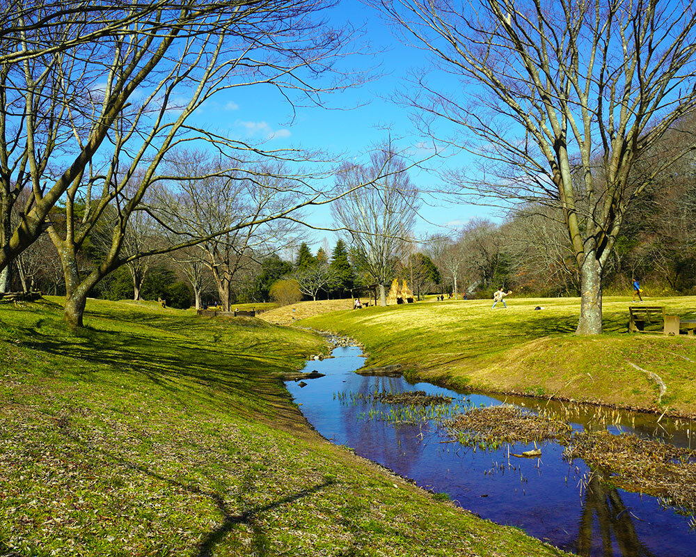 三木 山 森林 公園