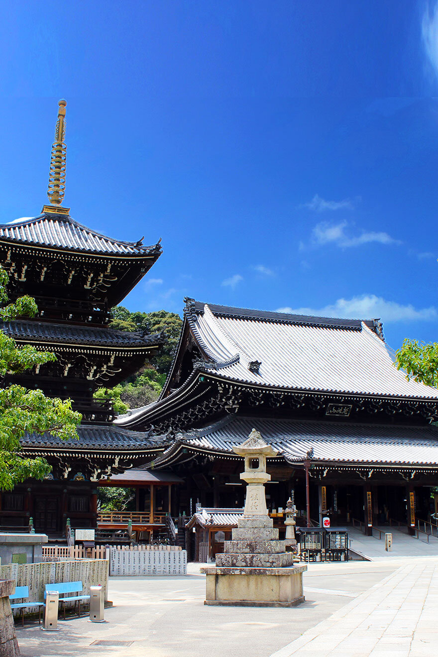 古代史博物館（泉南市埋蔵文化財センター）