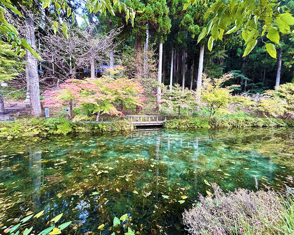 モネの池