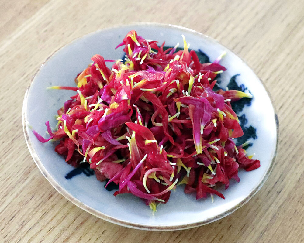 食用菊 もってのほか・延命楽