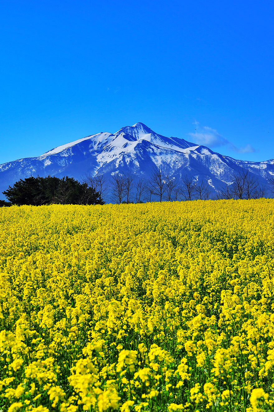岩木山