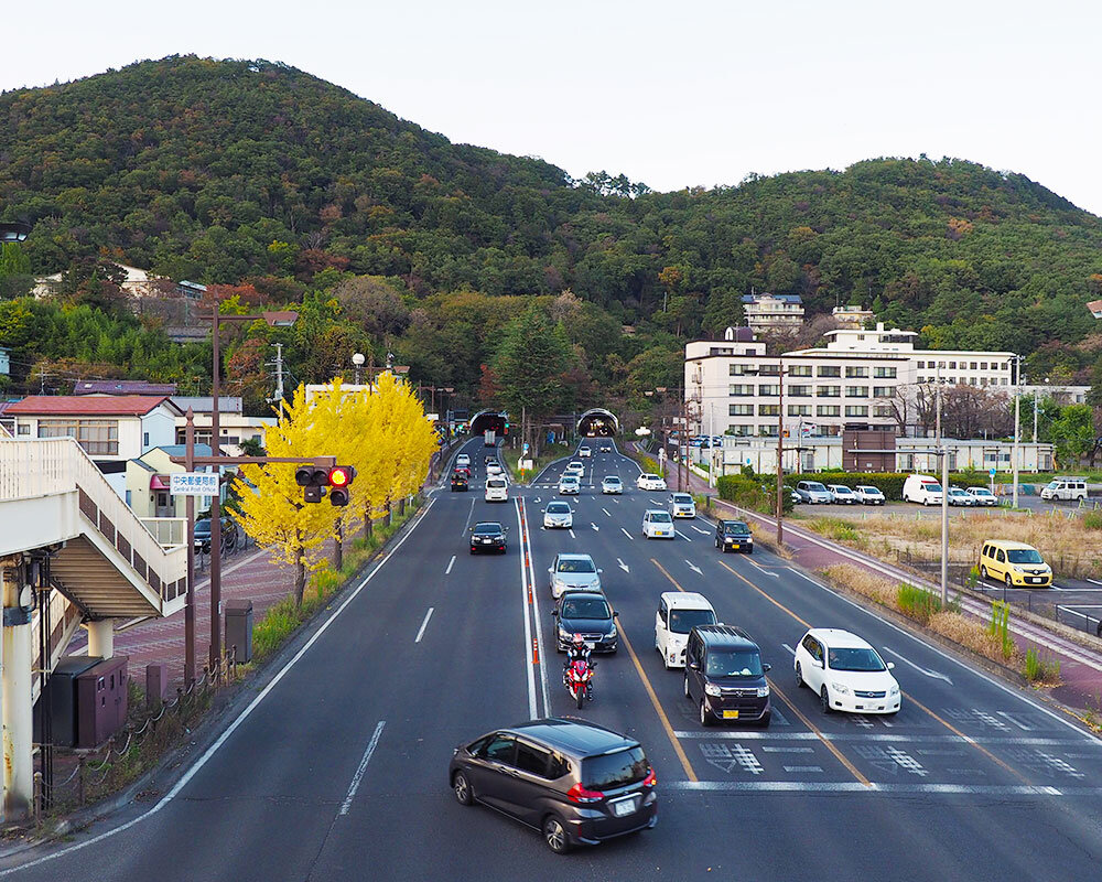 信夫山