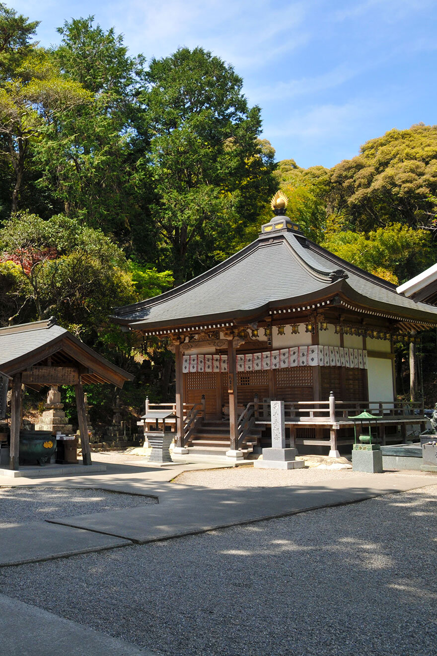 徳島県立 鳥居龍蔵記念博物館
