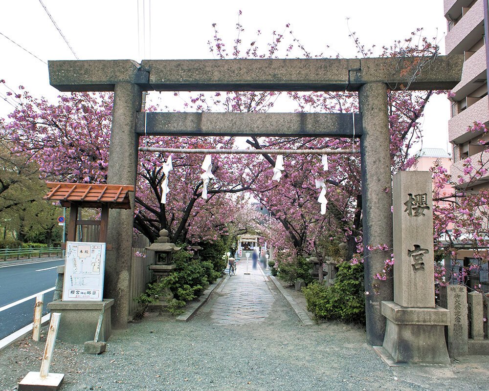 桜宮 宮地嶽神社 | 福岡県福津市 | 福岡発!! 九州観光ガイド