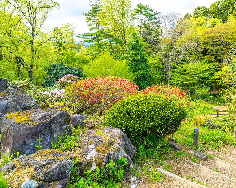 仙台市野草園