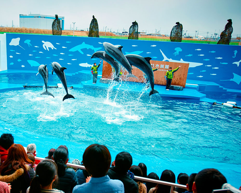 仙台うみの杜水族館 仙台うみの杜水族館