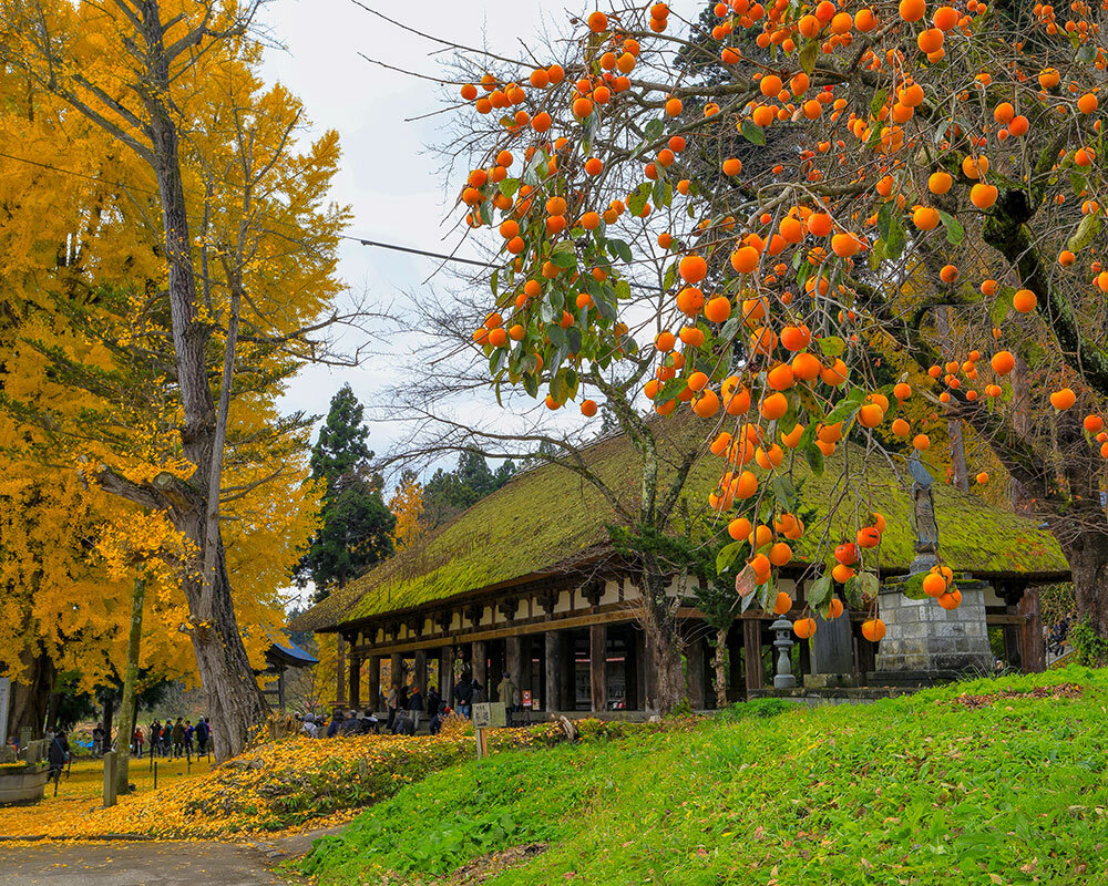 新宮熊野神社