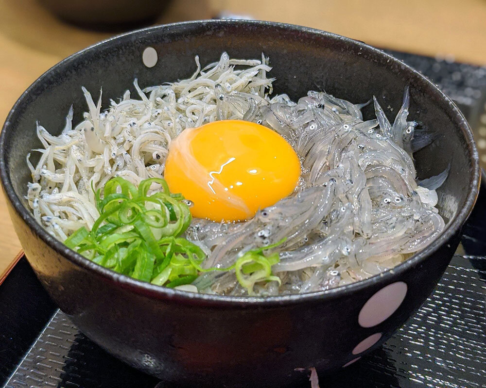 和歌山 しらす 丼