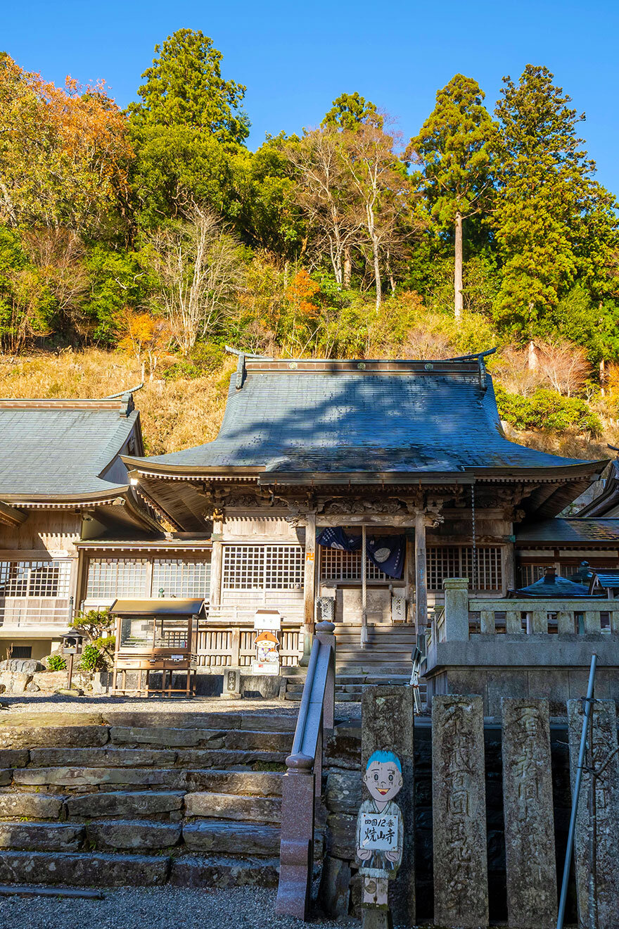 徳島県立 鳥居龍蔵記念博物館