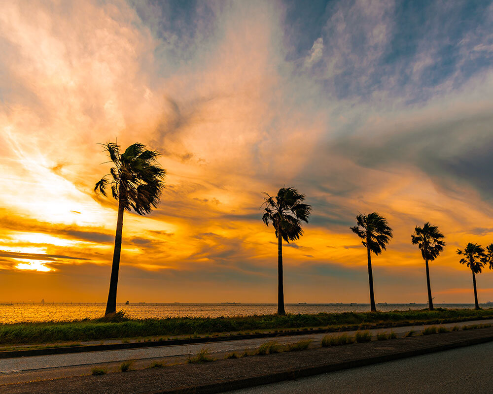 sodegaura seaside park