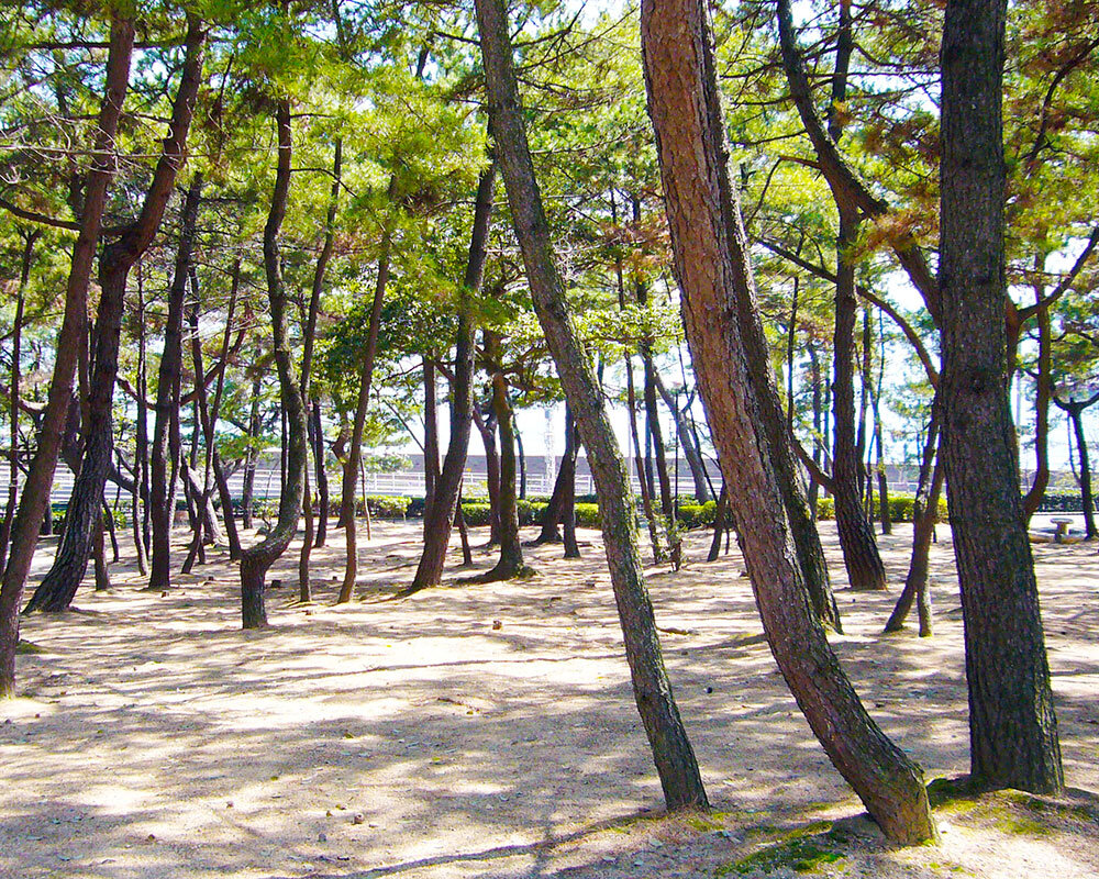 須磨浦公園