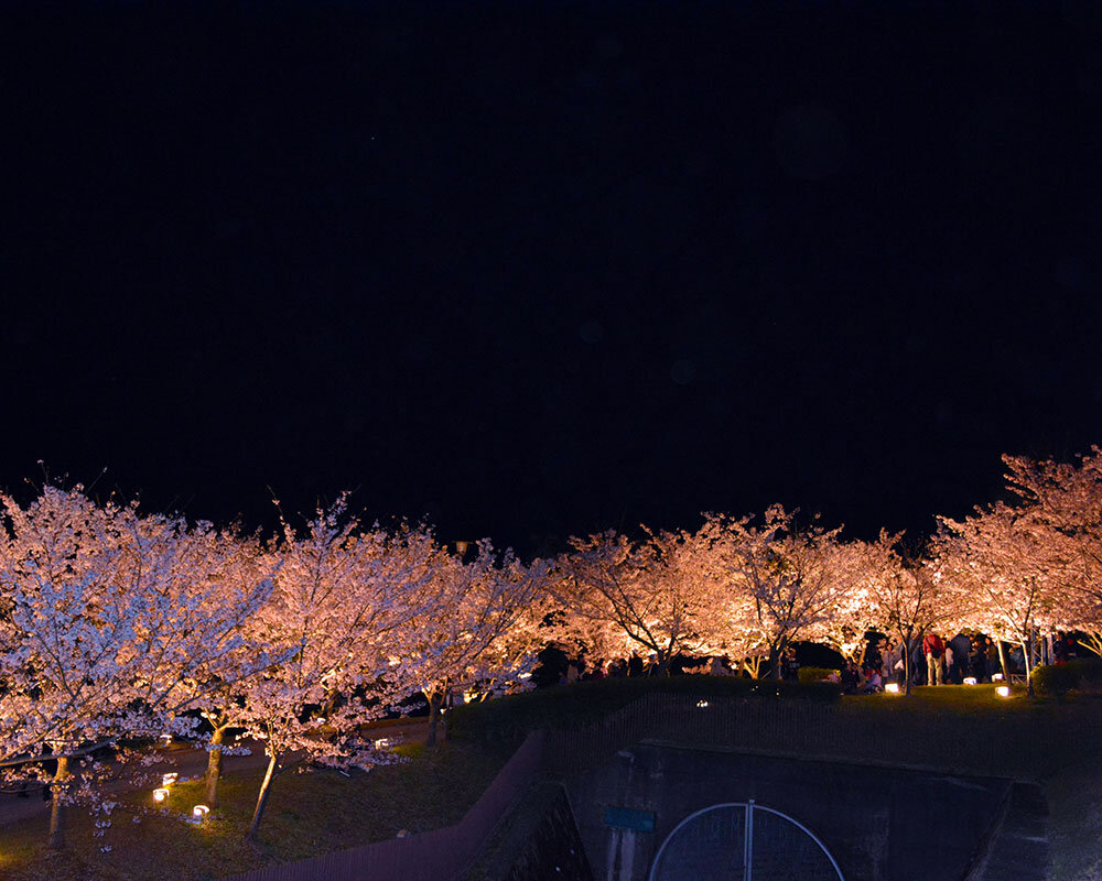 須磨浦公園