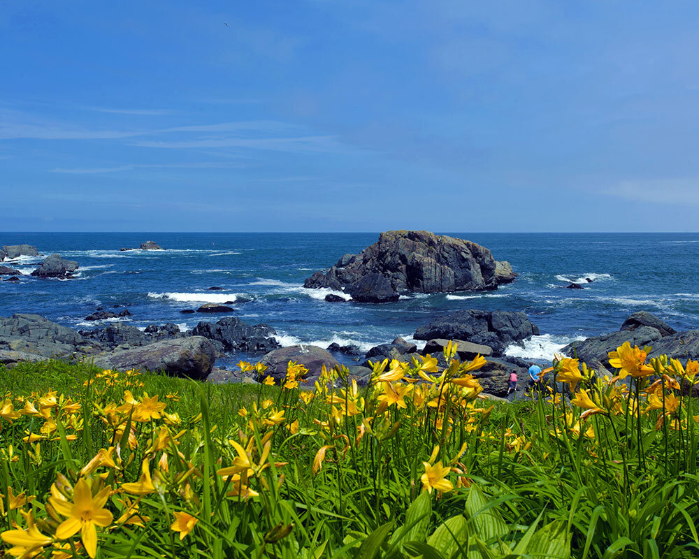 種差海岸
