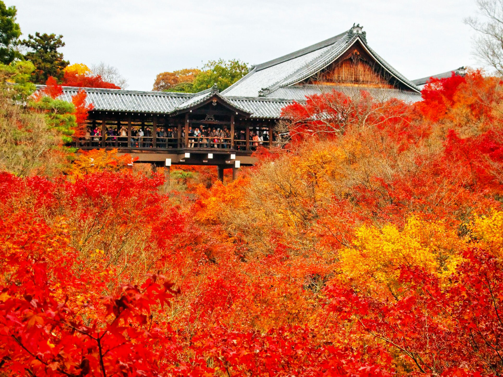 東福寺