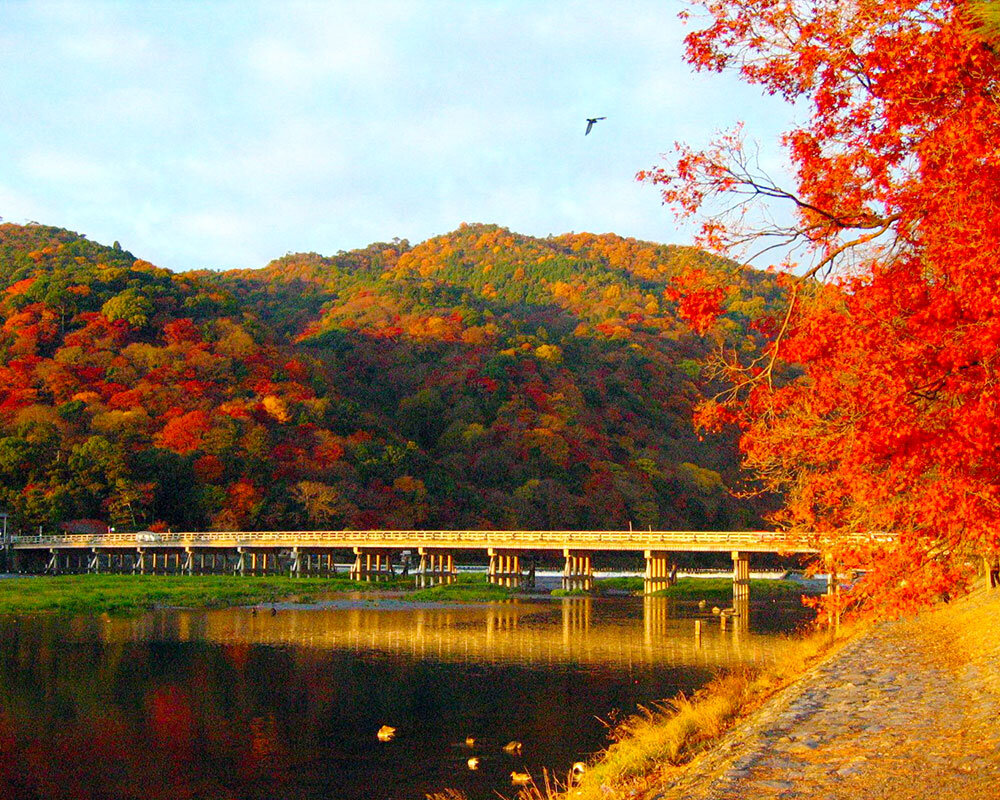 渡月橋