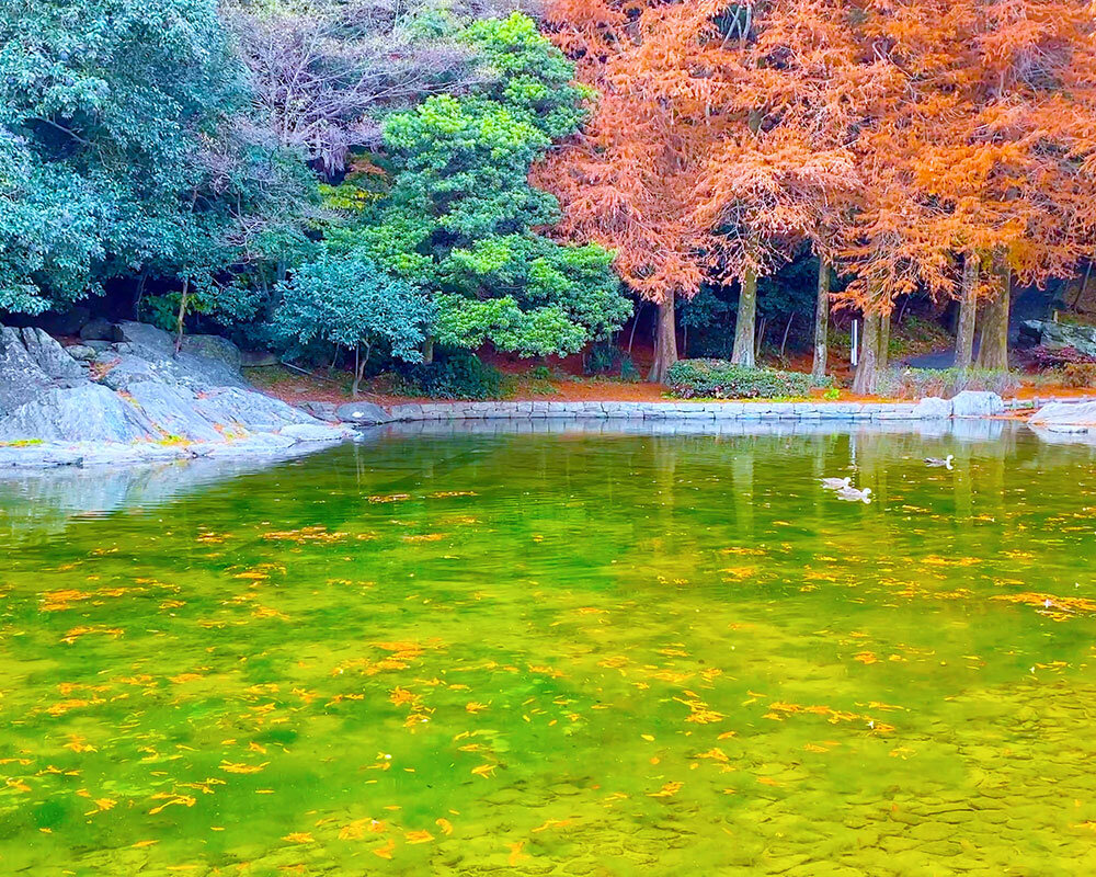 徳島 中央 公園