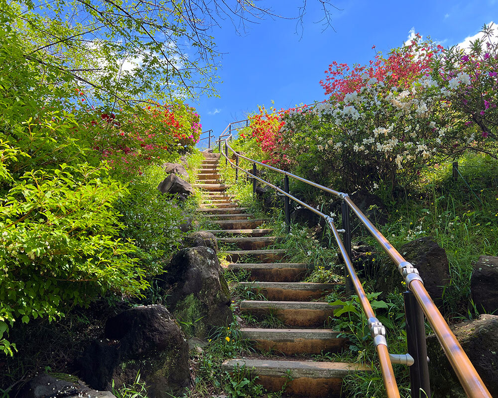 戸山公園