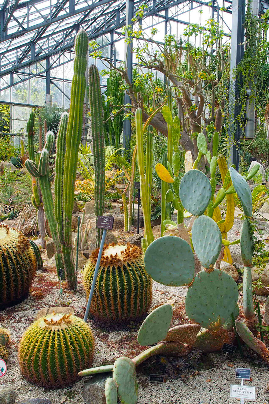 Tsukuba Botanical Garden
