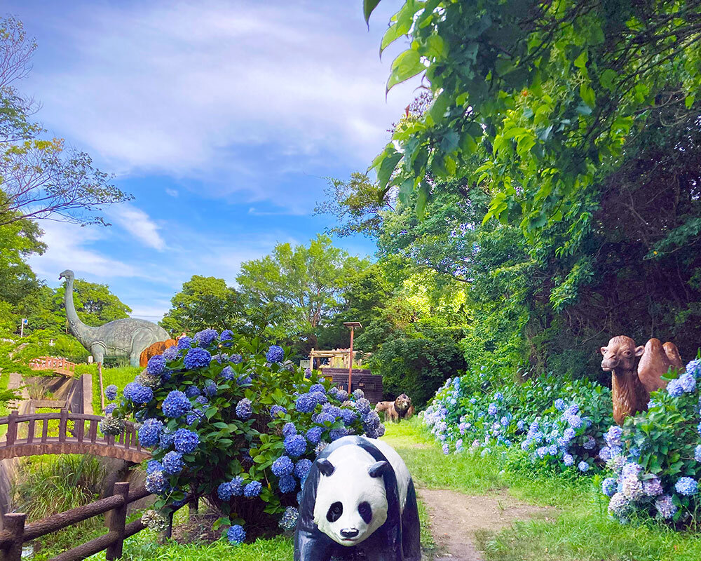 和歌山市 森林公園