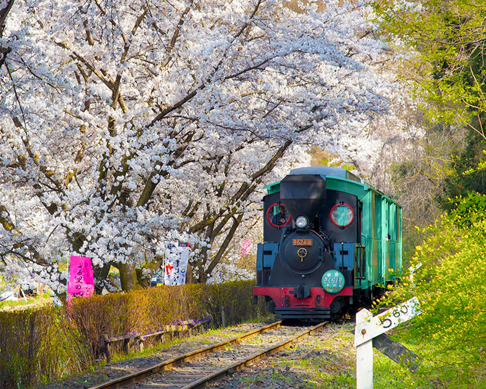 やながわ希望の森公園