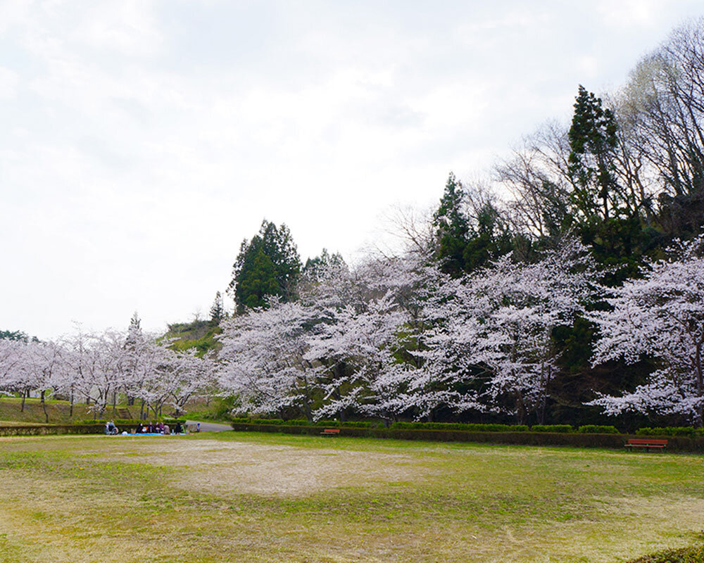 やながわ希望の森公園