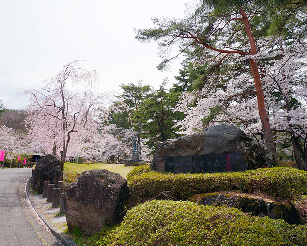 やながわ希望の森公園