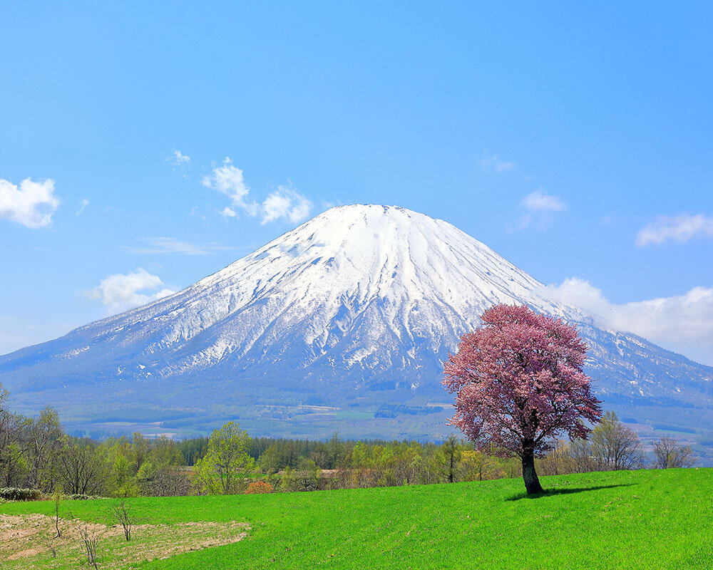 羊蹄山
