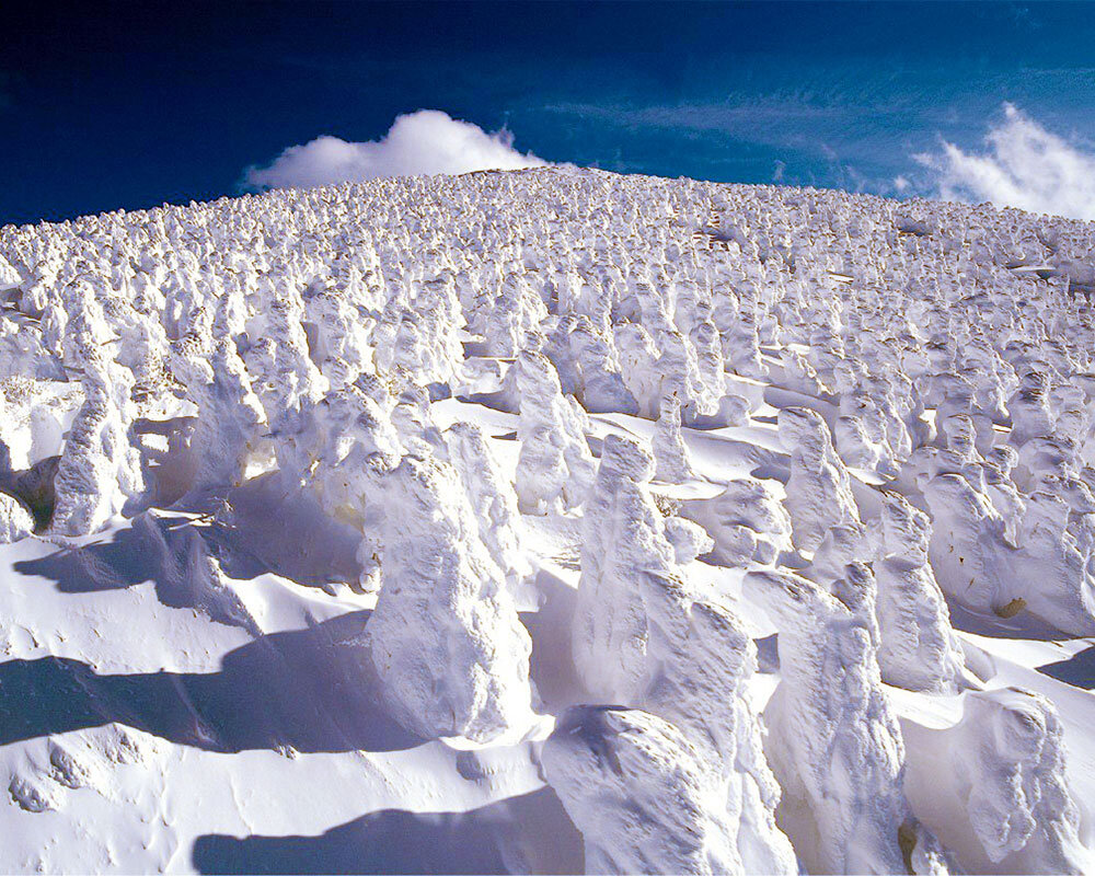 蔵王の樹氷「ICE MONSTER」 蔵王の樹氷「ICE MONSTER」