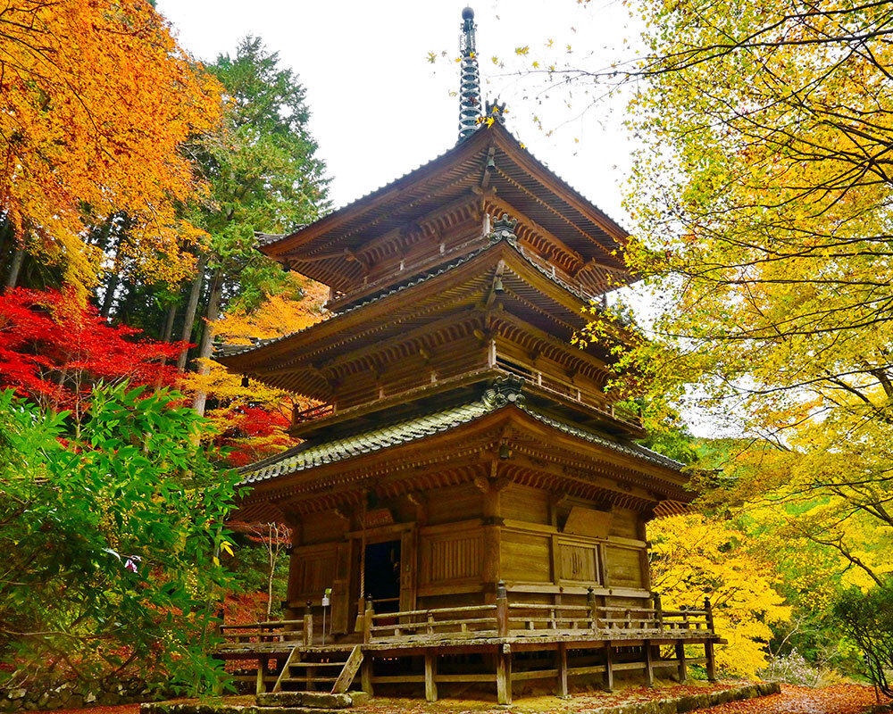 高 源 寺